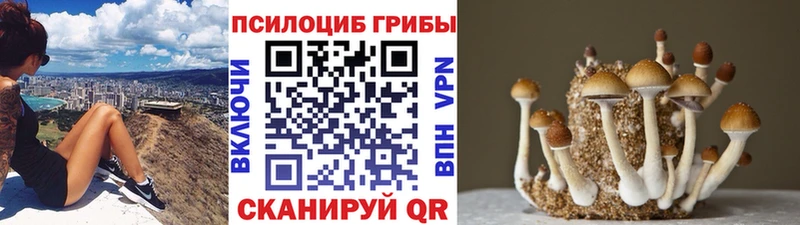 Галлюциногенные грибы Cubensis Усть-Кут